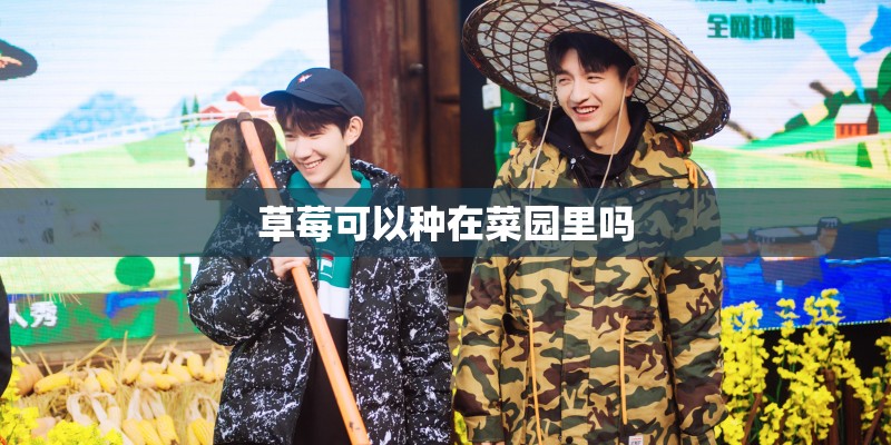草莓可以种在菜园里吗