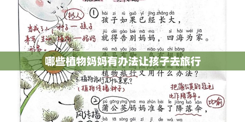 哪些植物妈妈有办法让孩子去旅行