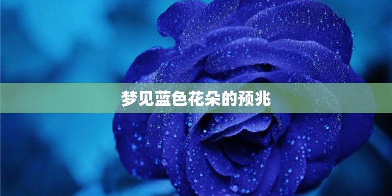 梦见蓝色花朵的预兆