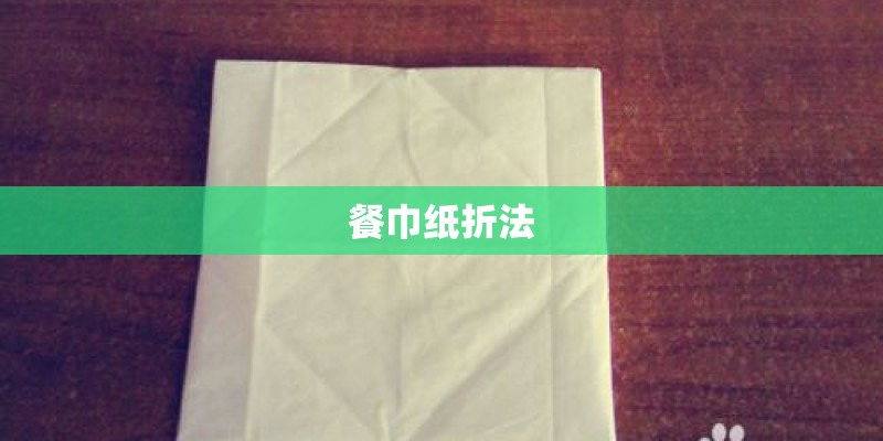 餐巾纸折法
