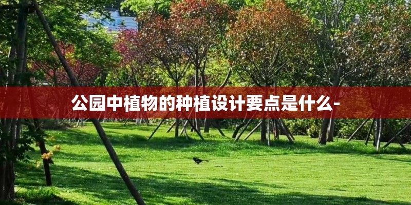 公园中植物的种植设计要点是什么-