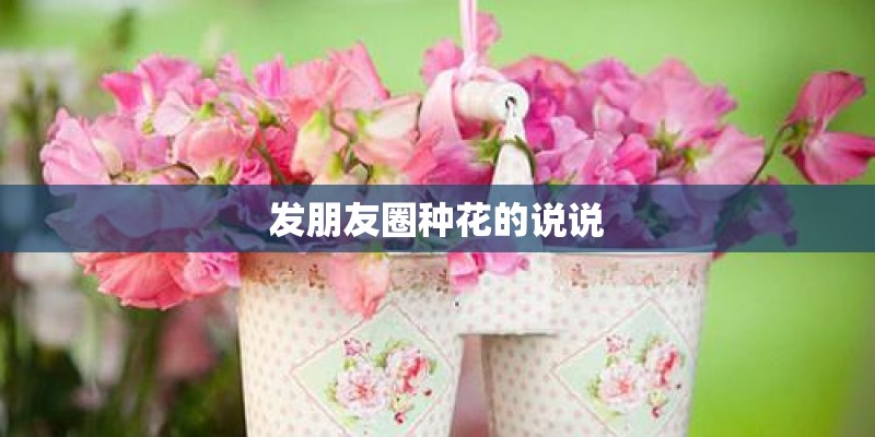 发朋友圈种花的说说