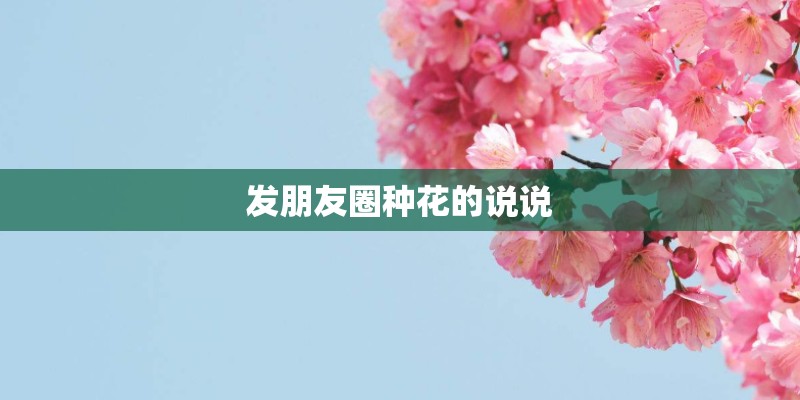 发朋友圈种花的说说