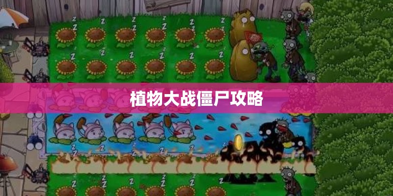 植物大战僵尸攻略