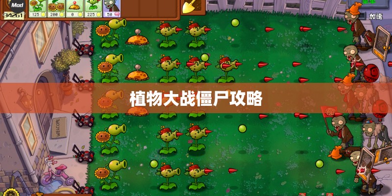 植物大战僵尸攻略 植物大战僵尸攻略