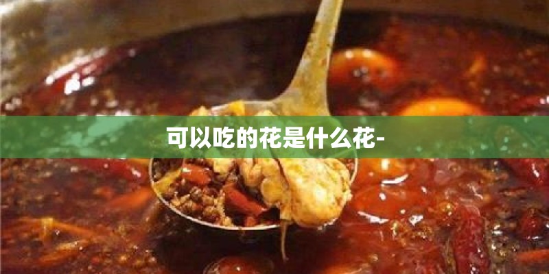 可以吃的花是什么花-