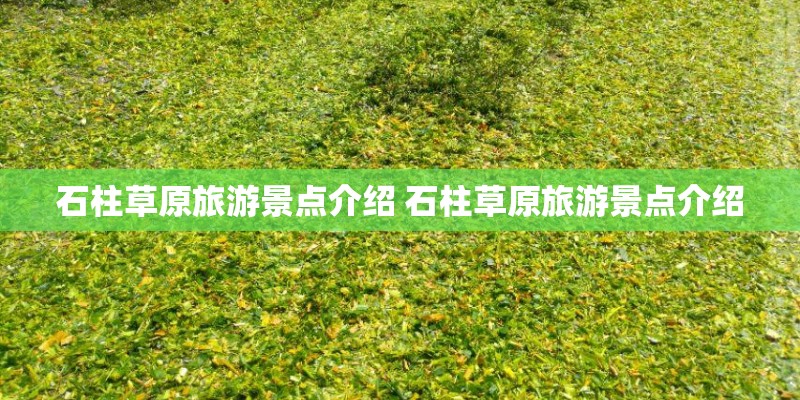 石柱草原旅游景点介绍 石柱草原旅游景点介绍 石柱草原旅游景点介绍 石柱草原旅游景点介绍