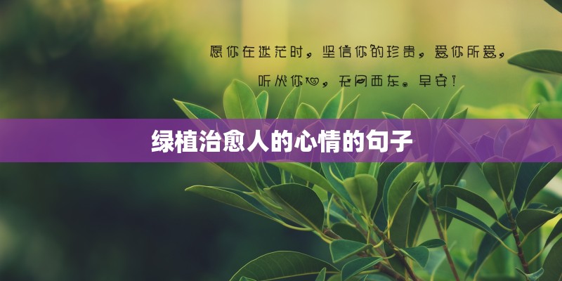 绿植治愈人的心情的句子