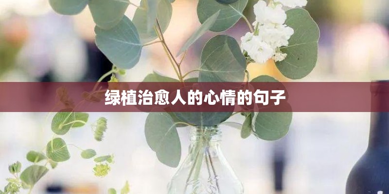 绿植治愈人的心情的句子