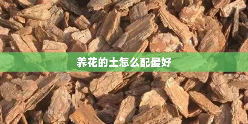 养花的土怎么配最好