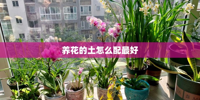 养花的土怎么配最好