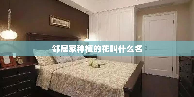 邻居家种植的花叫什么名