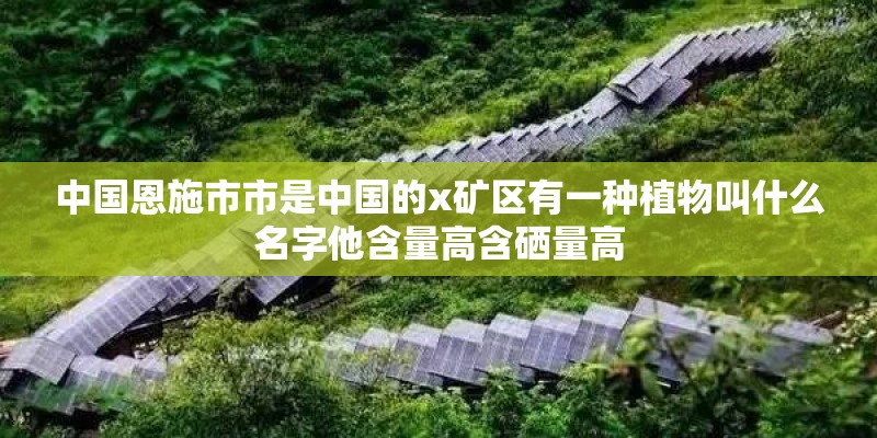 中国恩施市市是中国的x矿区有一种植物叫什么名字他含量高含硒量高