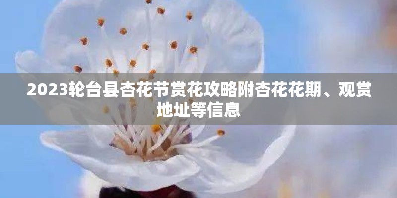 2023轮台县杏花节赏花攻略附杏花花期、观赏地址等信息