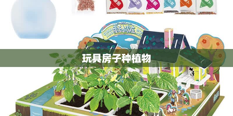 辣椒的盆栽有什么技术要点？