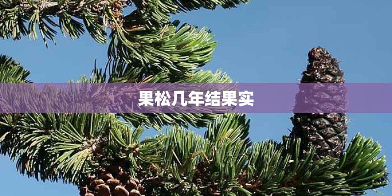 果松几年结果实