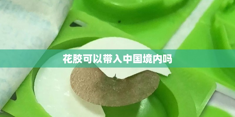 花胶可以带入中国境内吗