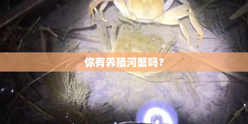 你有养殖河蟹吗？