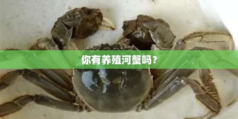 你有养殖河蟹吗？