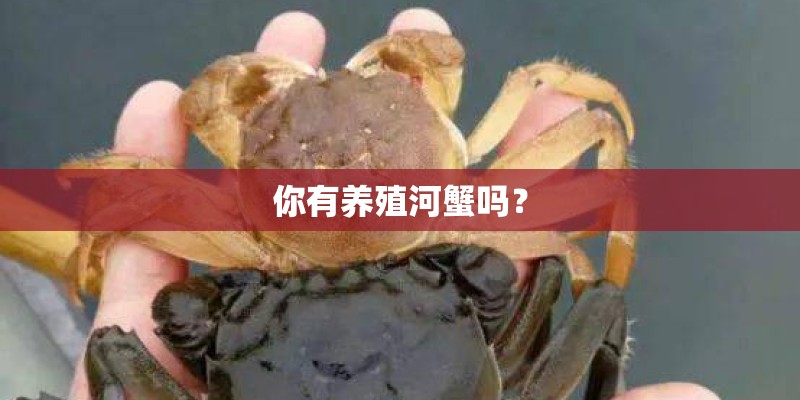 你有养殖河蟹吗？