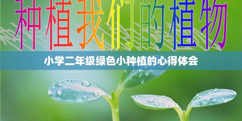 小学二年级绿色小种植的心得体会