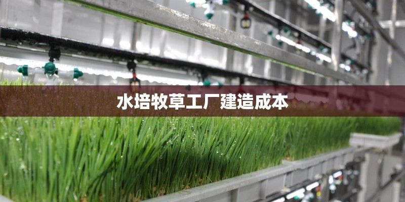 水培牧草工厂建造成本