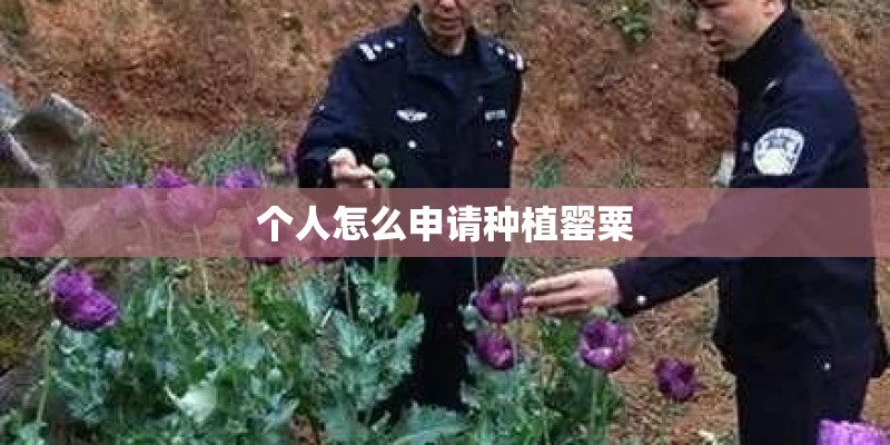 个人怎么申请种植罂粟