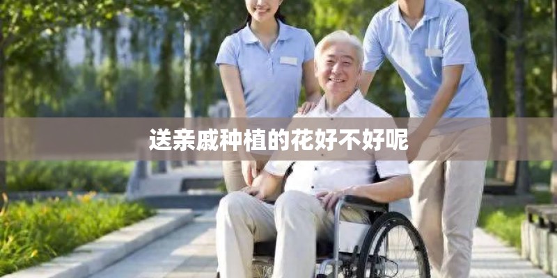 送亲戚种植的花好不好呢