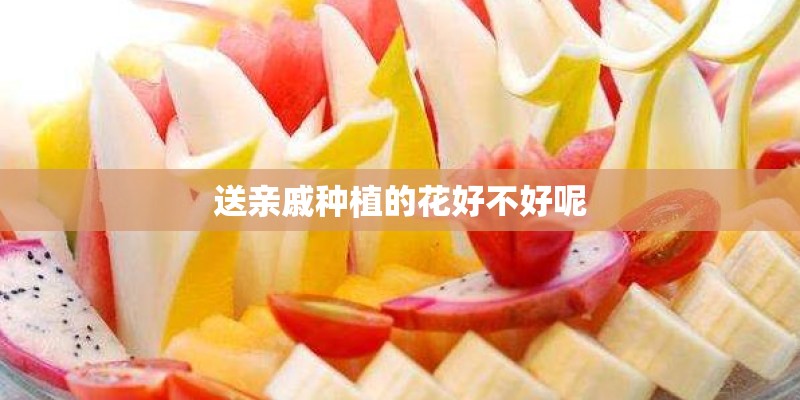 送亲戚种植的花好不好呢