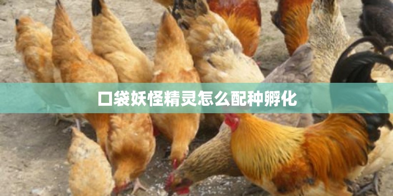 口袋妖怪精灵怎么配种孵化