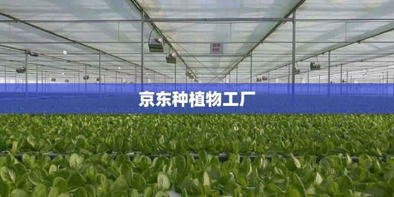 京东种植物工厂