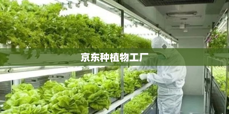 京东种植物工厂