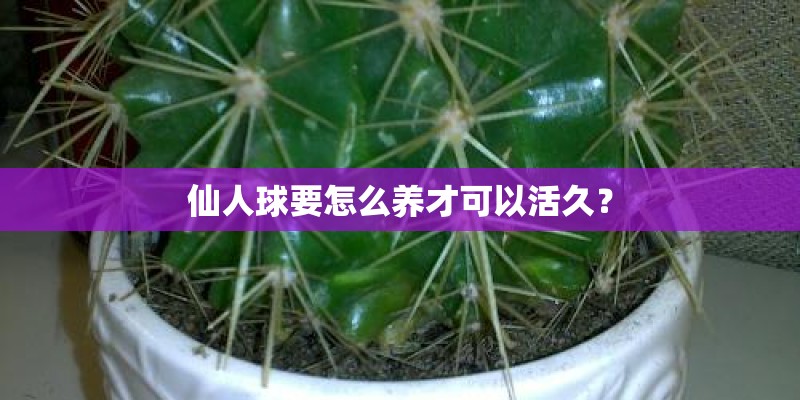 仙人球要怎么养才可以活久？