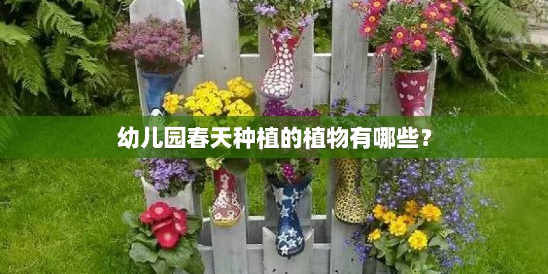 幼儿园春天种植的植物有哪些？