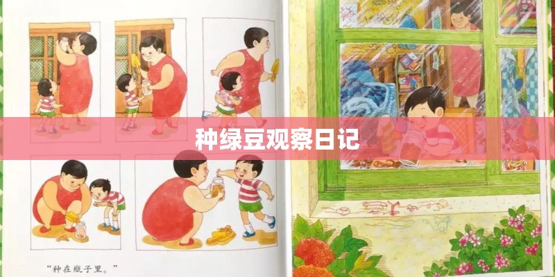 种绿豆观察日记