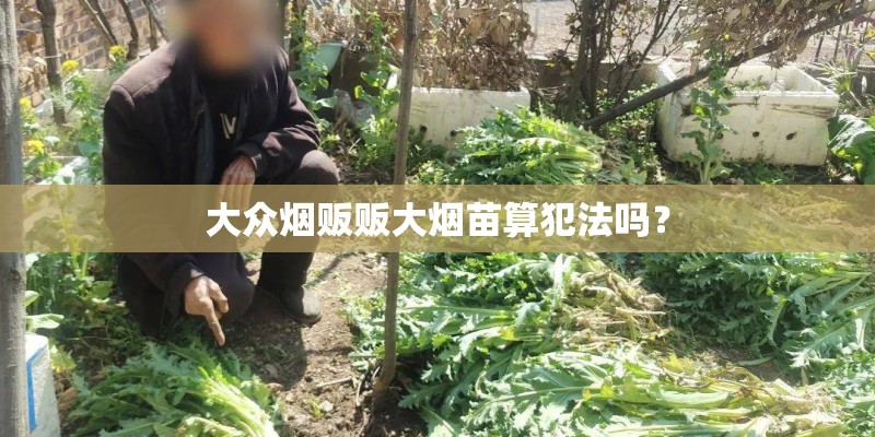 大众烟贩贩大烟苗算犯法吗？