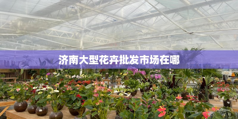 济南大型花卉批发市场在哪