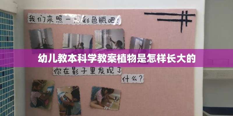 幼儿教本科学教案植物是怎样长大的