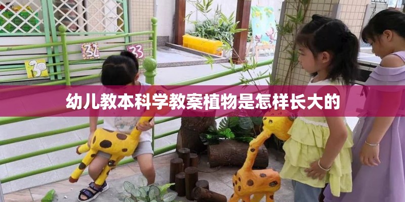 幼儿教本科学教案植物是怎样长大的