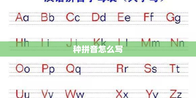 种拼音怎么写