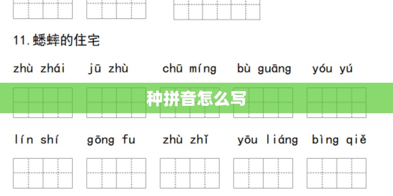 种拼音怎么写
