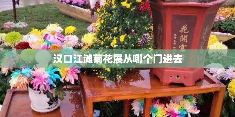 汉口江滩菊花展从哪个门进去