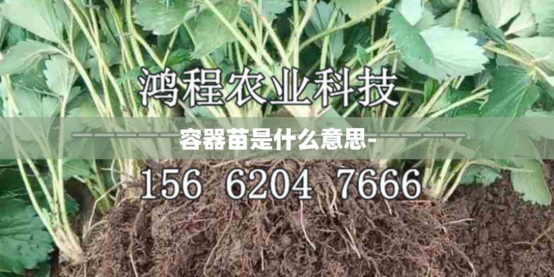 容器苗是什么意思-