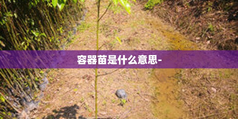 容器苗是什么意思-