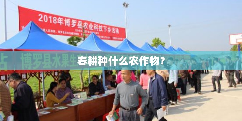 春耕种什么农作物？