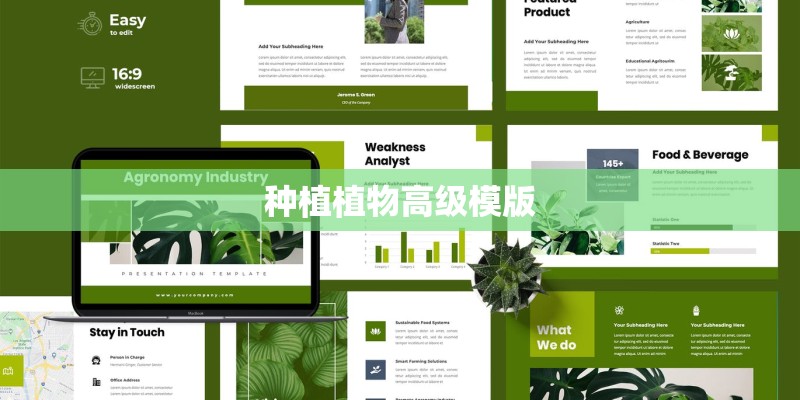种植植物高级模版 种植植物高级模版