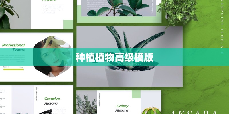 种植植物高级模版 种植植物高级模版