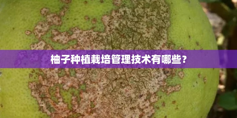 柚子种植栽培管理技术有哪些? 柚子种植栽培管理技术有哪些?