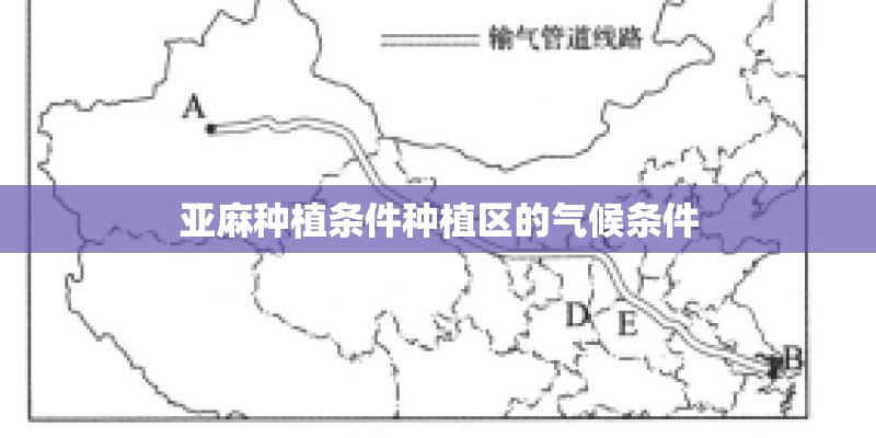 亚麻种植条件种植区的气候条件