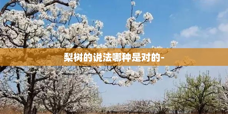 梨树的说法哪种是对的-